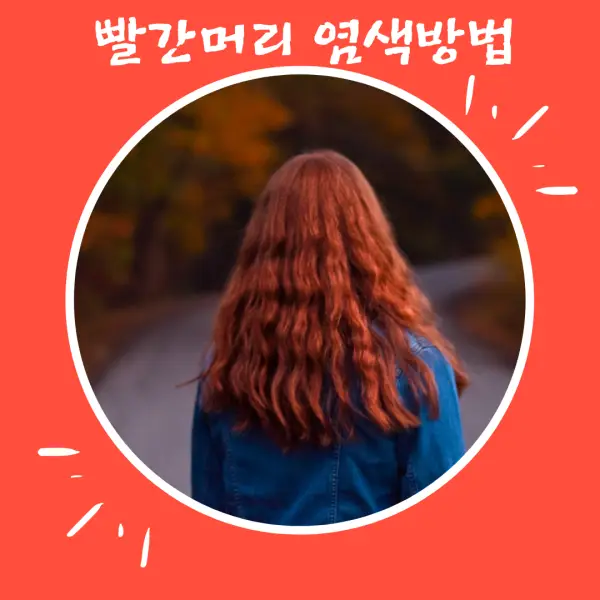 빨간머리염색방법