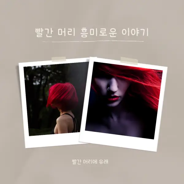 빨간머리유래